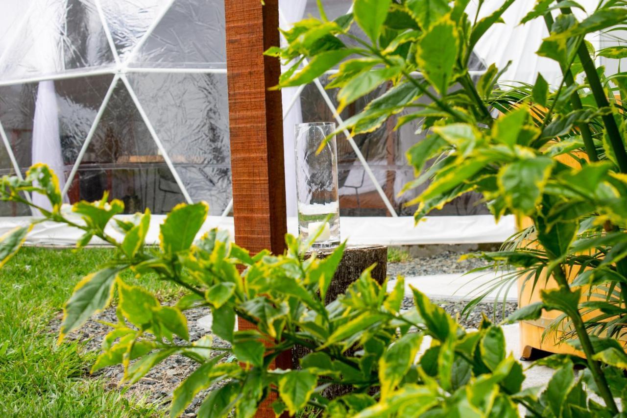 Orange Glamping Villa Quimbaya Exteriör bild