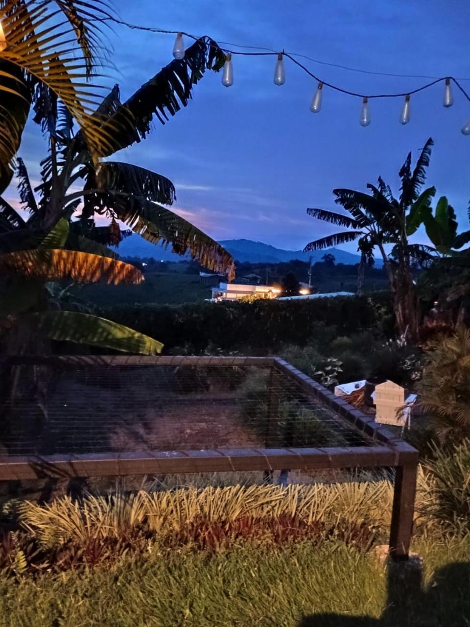 Orange Glamping Villa Quimbaya Exteriör bild